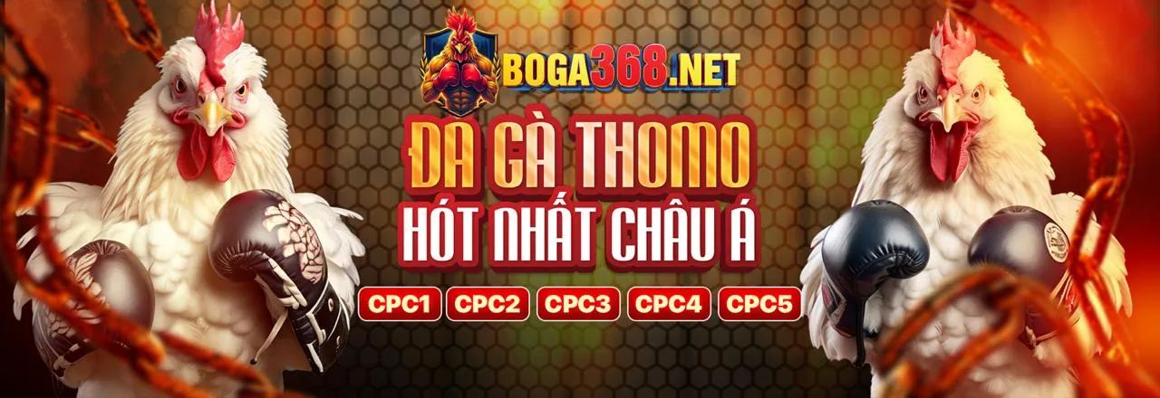 Đá gà trực tuyến 85win Trang Chủ